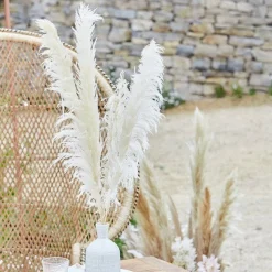 Party Delights A Touch Of Pampas Bleached Pampas Grass (5Pk)< Flowers & Foliage