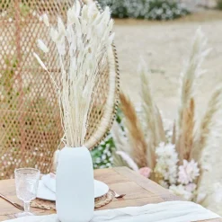 Party Delights A Touch Of Pampas Off White Dried Bunny Tail Grass (20Pk)< Flowers & Foliage