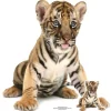 Party Delights Bengal Tiger Cub Cardboard Cutout - 73Cm X 73Cm< Cardboard Cut Outs