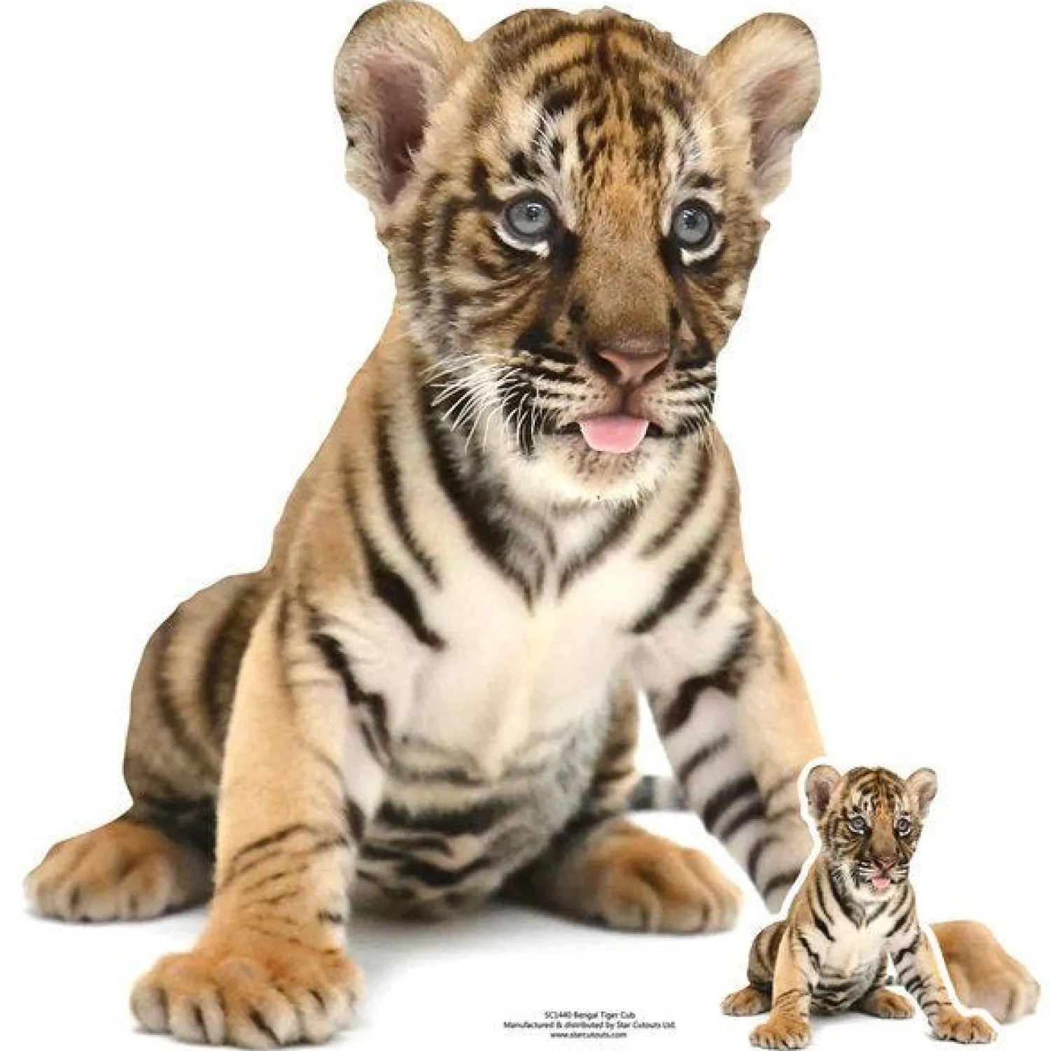 Party Delights Bengal Tiger Cub Cardboard Cutout - 73Cm X 73Cm< Cardboard Cut Outs