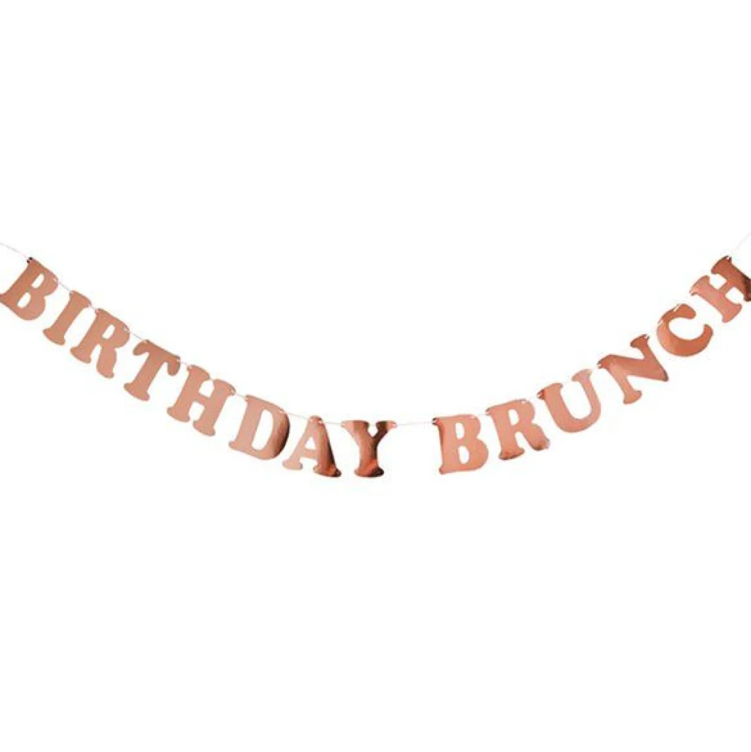 Party Delights Birthday Brunch Paper Banner - 2M< Banners