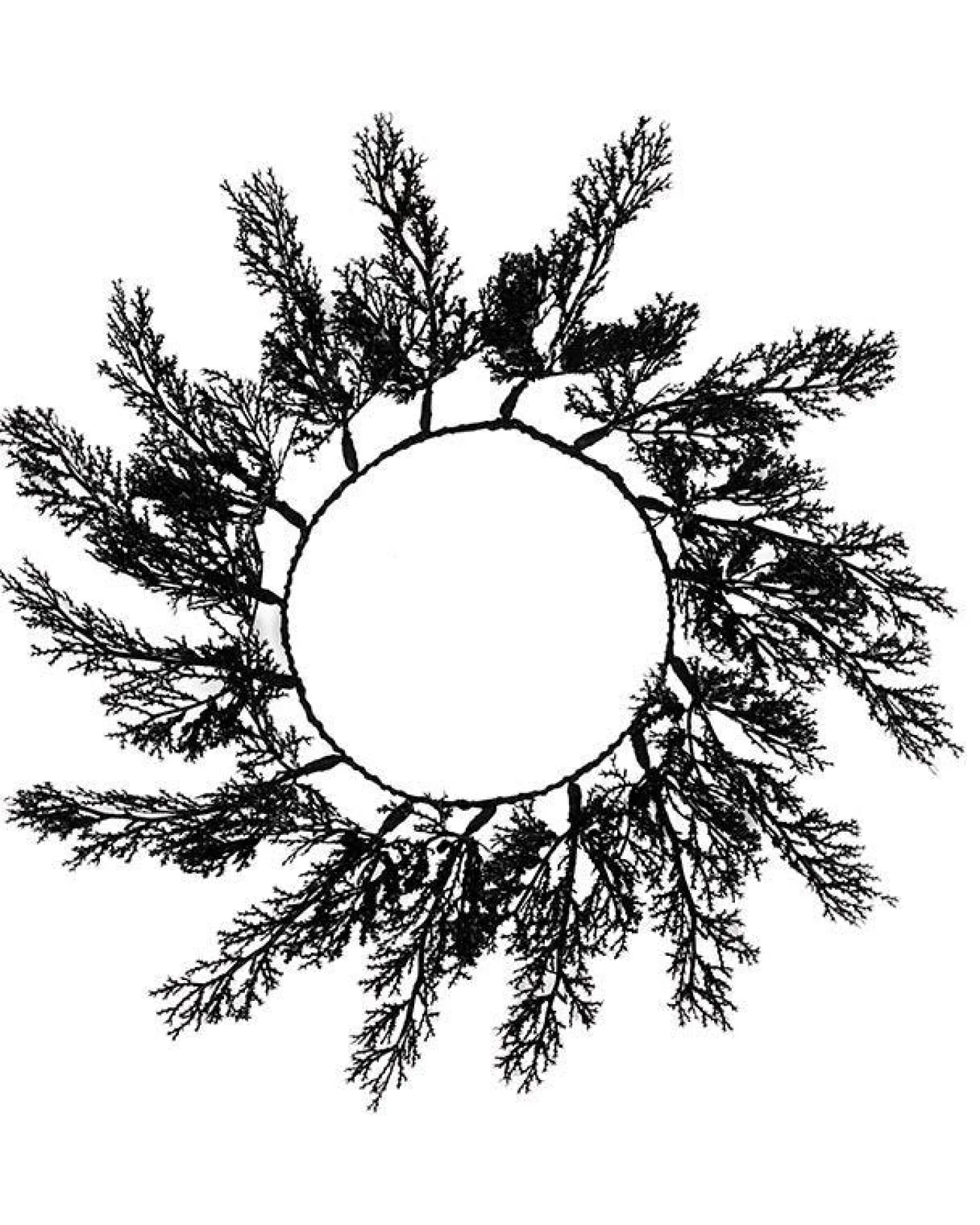 Black Foliage Placemats (4Pk)<Party Delights Best