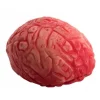 Bloody Brain Prop<Party Delights New