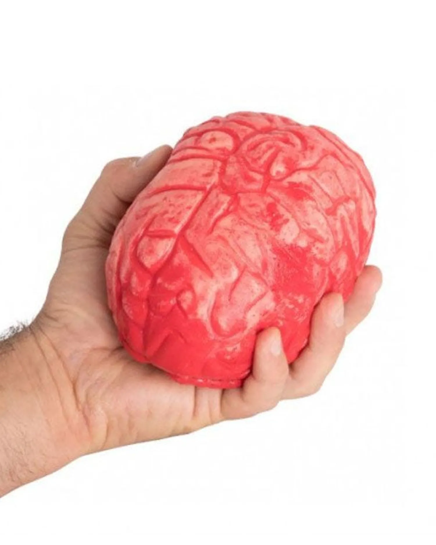 Bloody Brain Prop<Party Delights New