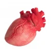 Bloody Heart Prop<Party Delights Best