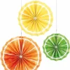 Party Delights Citrus Fruit Tissue Paper Fans (3Pk)< Fans