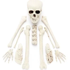 Complete Bag Of Skeleton Bones<Party Delights Best
