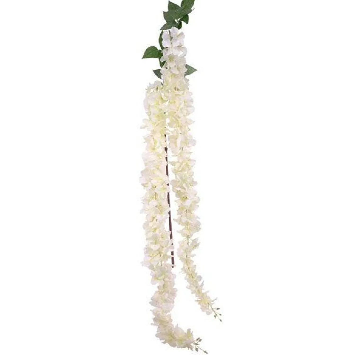 Party Delights Cream Wisteria Decoration (2Pk)< Flowers & Foliage