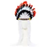 Party Delights Feather Headdress< Hats & Headwear