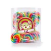 Party Delights Fruit Flavour Swigle Mini Lollipops X50< Sweets