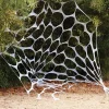 Garden Web - 6M<Party Delights New