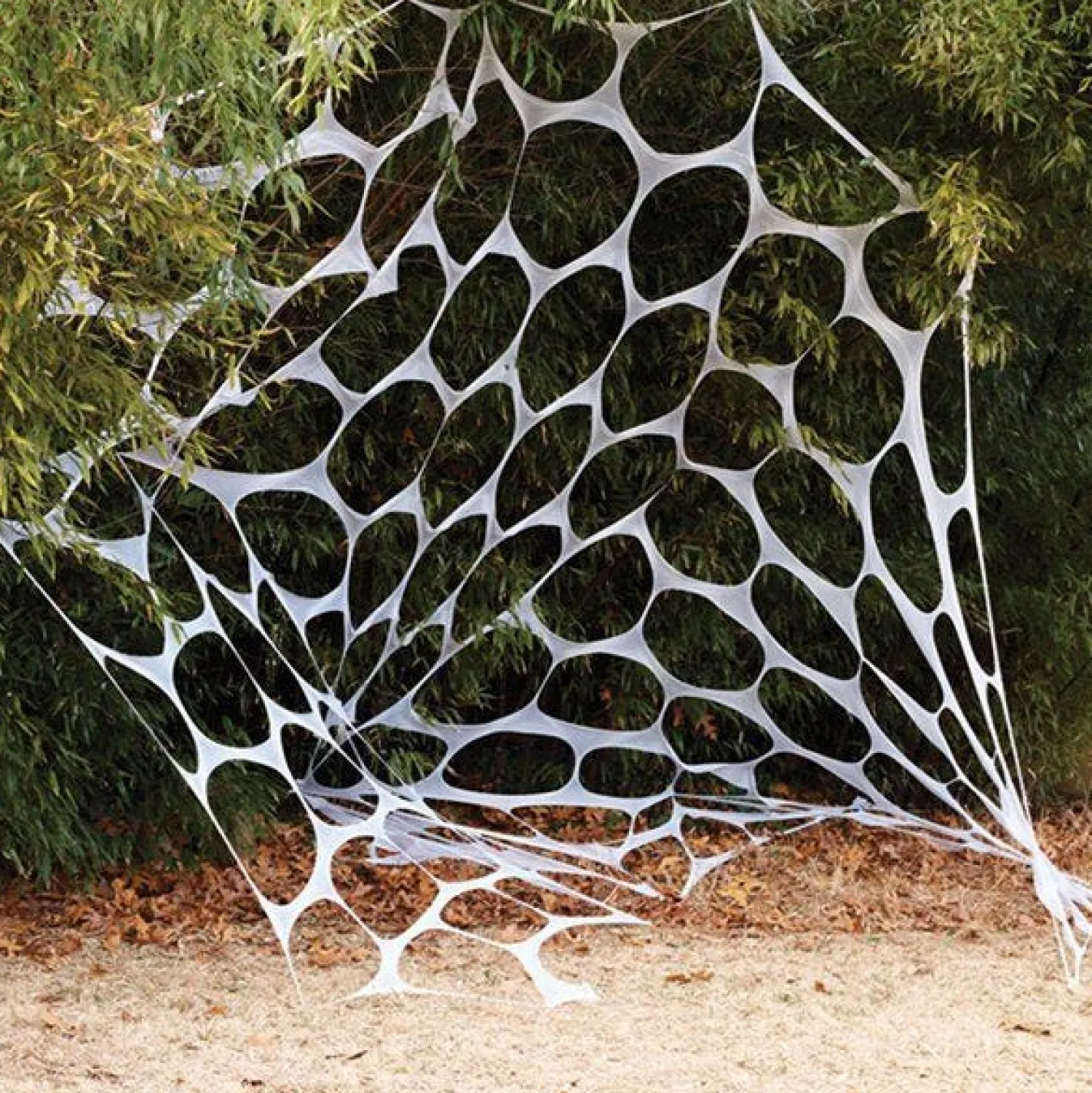 Garden Web - 6M<Party Delights New