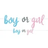 Party Delights Gender Reveal Boy Or Girl Paper Banner - 2.13M< Banners
