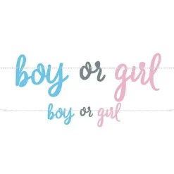 Party Delights Gender Reveal Boy Or Girl Paper Banner - 2.13M< Banners