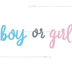 Party Delights Gender Reveal Boy Or Girl Paper Banner - 2.13M< Banners