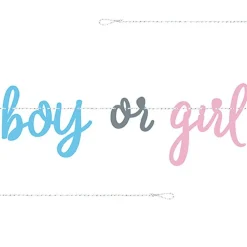 Party Delights Gender Reveal Boy Or Girl Paper Banner - 2.13M< Banners