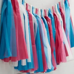 Party Delights Gender Reveal Paper Tassel Garland - 2.5M< Hanging Decorations