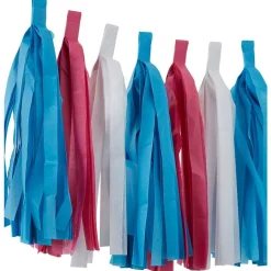 Party Delights Gender Reveal Paper Tassel Garland - 2.5M< Hanging Decorations