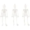 Glow In The Dark Skeletons (16Pk)<Party Delights Best