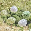 Party Delights Green And White Paper Pom Pom Decorations (5Pk)< Hanging Decorations