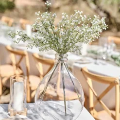 Party Delights Gypsophilia Foliage Stems (5Pk)< Flowers & Foliage