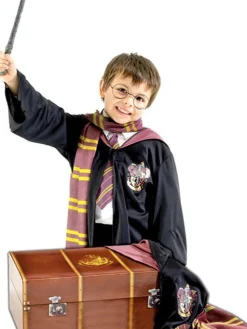 Harry Potter Trunk - Child Costume<Party Delights Clearance