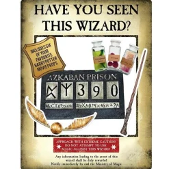 Party Delights Harry Potter Wanted Poster Selfie Frame Photo Prop - 87Cm X 70Cm< Cardboard Cut Outs