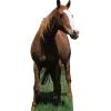 Party Delights Horse Cardboard Cutout - 190Cm X 80Cm< Cardboard Cut Outs