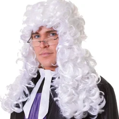 Party Delights Judge Wig< Wigs