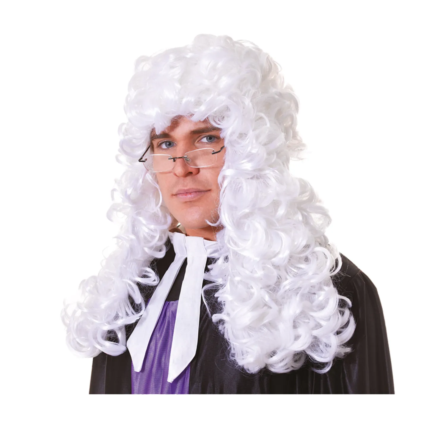 Party Delights Judge Wig< Wigs