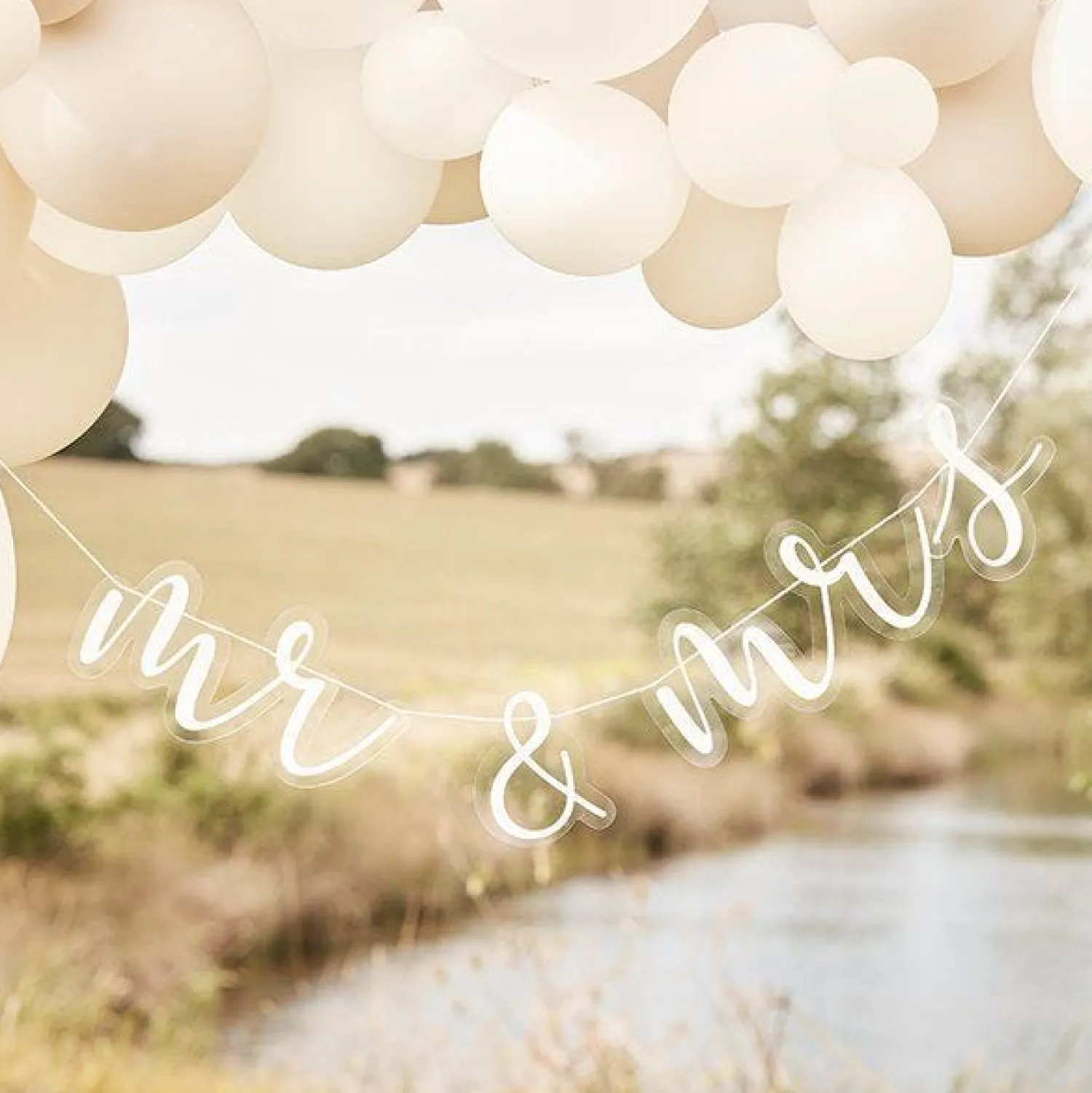 Party Delights Mr & Mrs Acrylic Bunting< Bunting