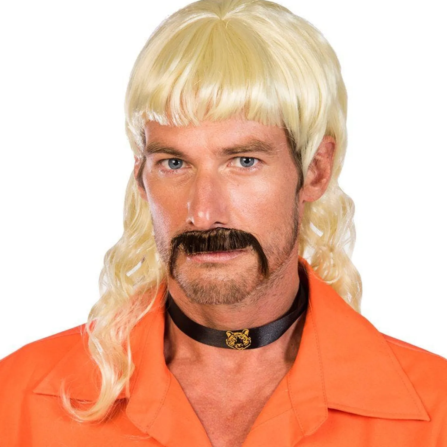 Party Delights Not Your Average Joe Wig & Moustache< Wigs