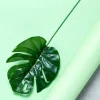 Party Delights Philo Spray Tropical Leaf Decorations (12Pk)< Flowers & Foliage