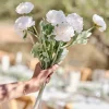 Party Delights Ranunculus Foliage Stems (3Pk)< Flowers & Foliage