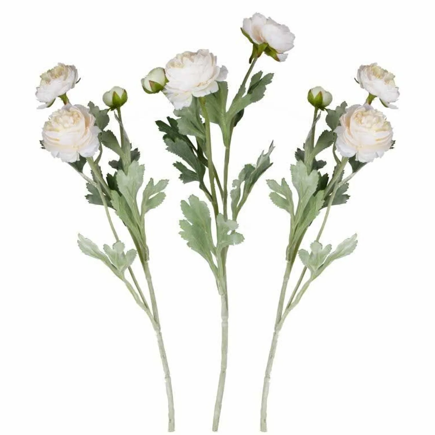 Party Delights Ranunculus Foliage Stems (3Pk)< Flowers & Foliage