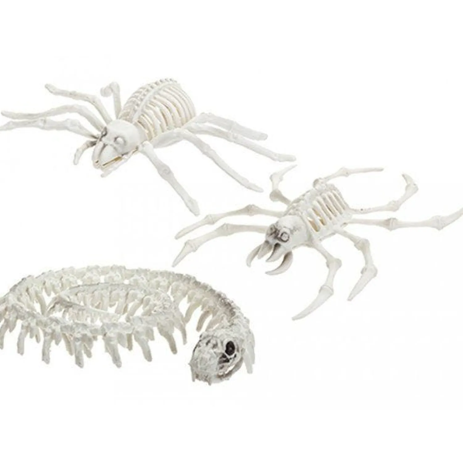 Skeleton Animals<Party Delights New