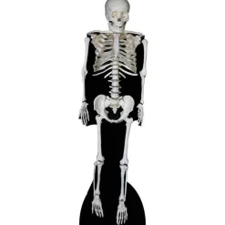 Skeleton Cardboard Cutout - 189Cm X 57Cm<Party Delights