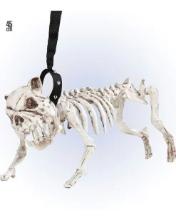 Skeleton Dog With Lead - 45Cm<Party Delights