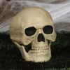 Skull - 20Cm<Party Delights Sale