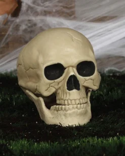 Skull - 20Cm<Party Delights Sale