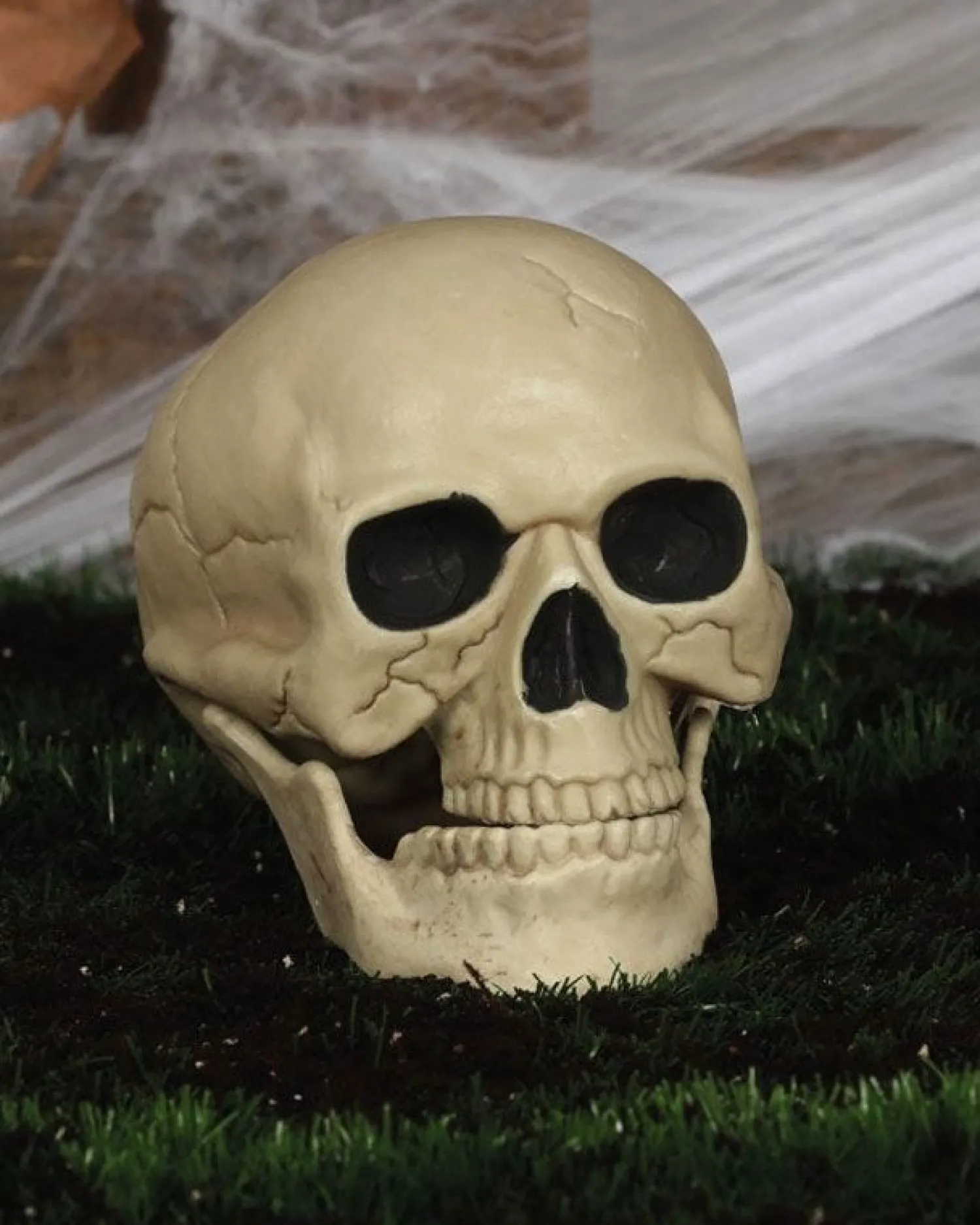 Skull - 20Cm<Party Delights Sale