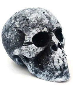 Small Foam Skull Head - 11Cm<Party Delights Outlet