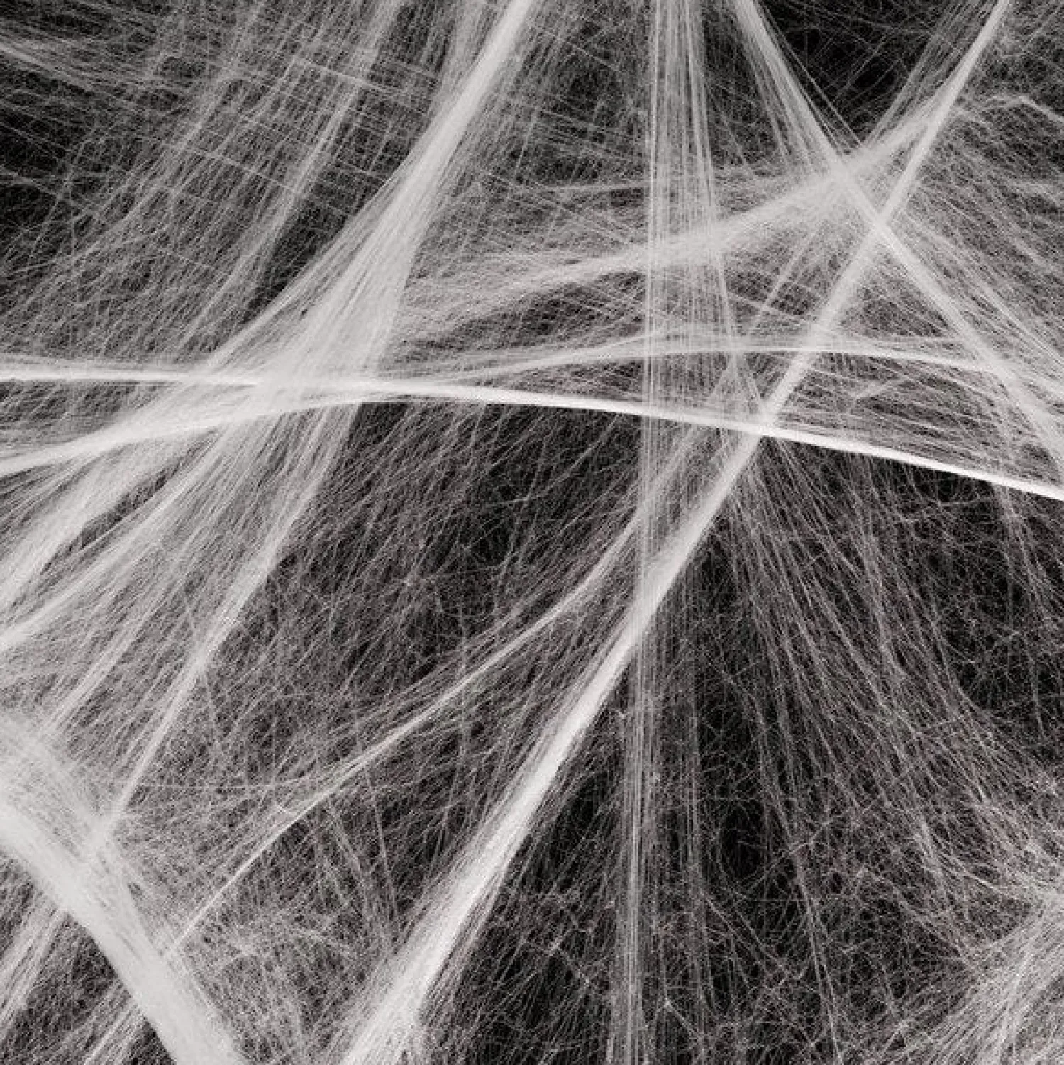 Spiders Web With Spiders - 100Sq Ft<Party Delights Clearance