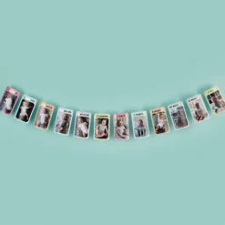 Party Delights 1St Birthday Milestone Photo Banner< Banners