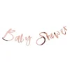 Party Delights Twinkle Twinkle 'Baby Shower' Rose Gold Paper Banner - 1.5M< Banners