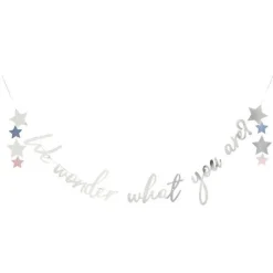 Party Delights We Wonder What You Are Letter Banner - 2M< Banners