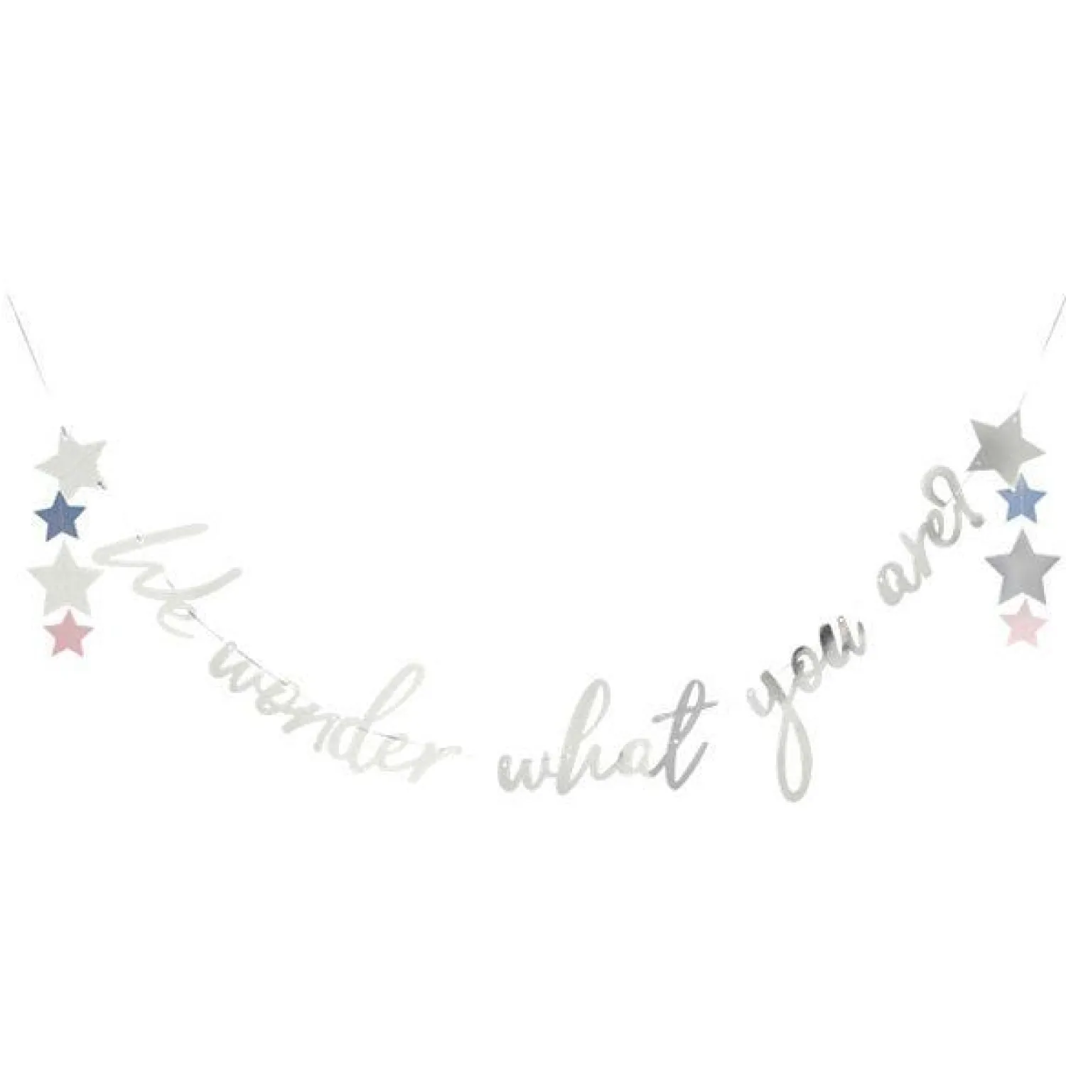 Party Delights We Wonder What You Are Letter Banner - 2M< Banners