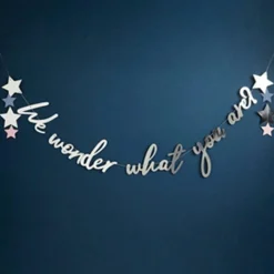 Party Delights We Wonder What You Are Letter Banner - 2M< Banners