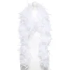 Party Delights White Feather Boa - 150Cm< Feather Boas