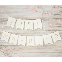Party Delights White Just Married Bunting - 1.5M< Bunting